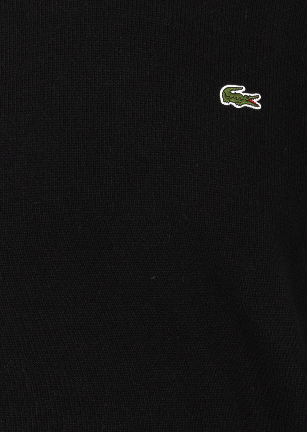 AI24-lacoste-AH2916031_8_P.jpg