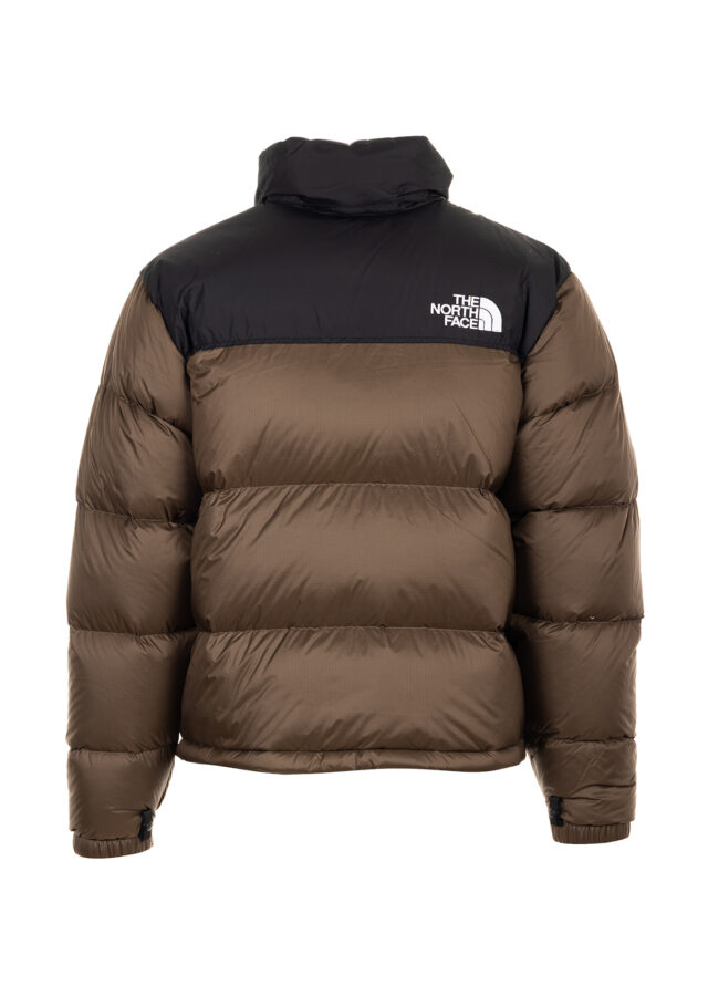 AI25-the20north20face-NF0A3C8D5EX_1_P.jpg