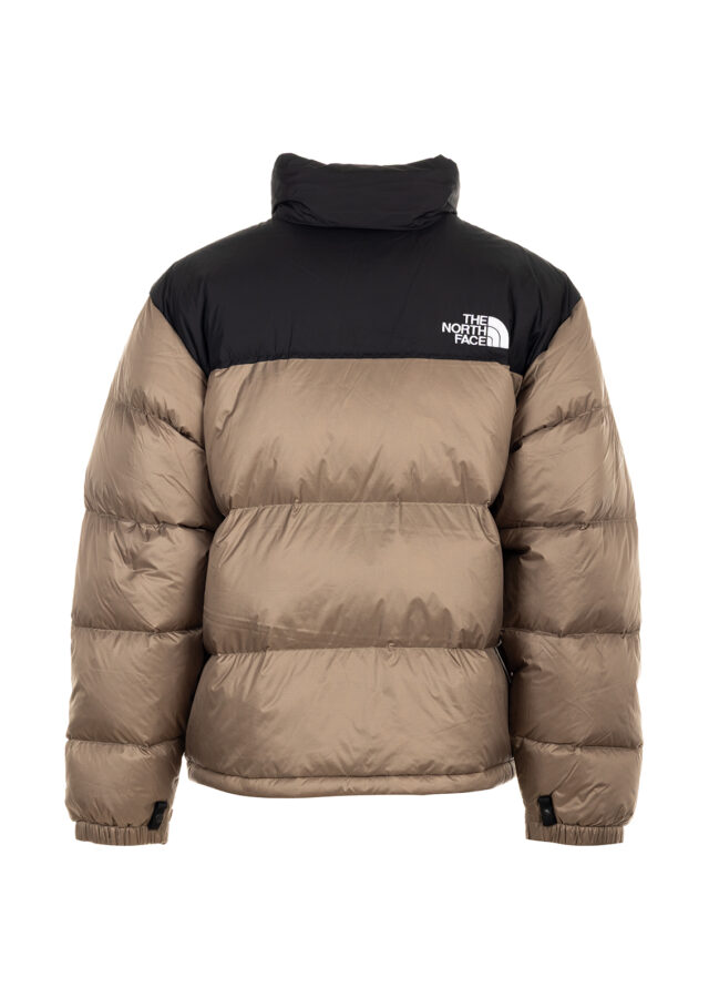 AI25-the20north20face-NF0A3C8DDHL_1_P.jpg