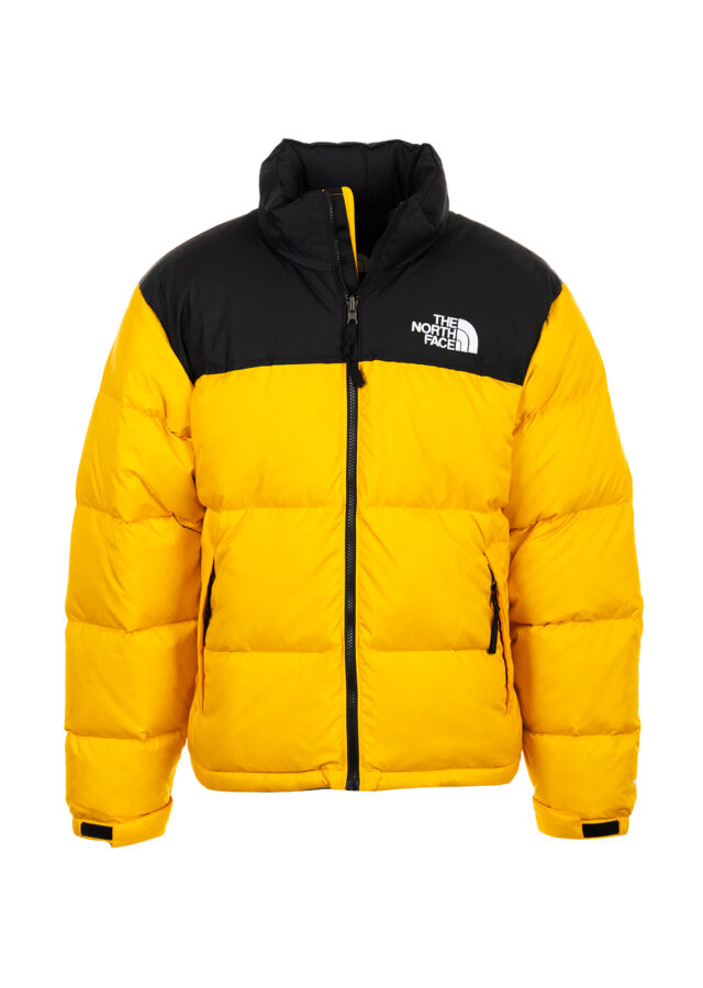 AI25-the20north20face-NF0A3C8DGO8.jpg