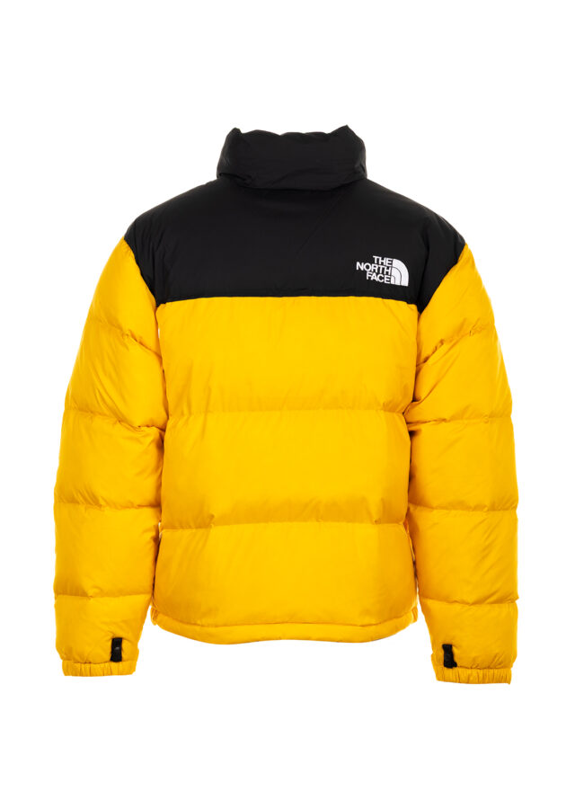 AI25-the20north20face-NF0A3C8DGO8_1_P.jpg