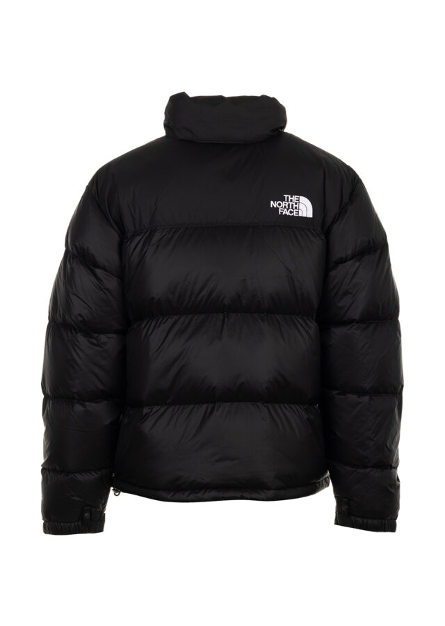 AI25-the20north20face-NF0A3C8DGOE_1_P.jpg