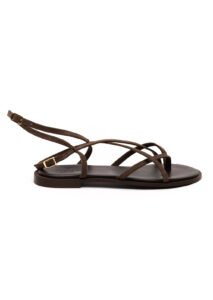 PE26-theras-550CPEPE.jpg