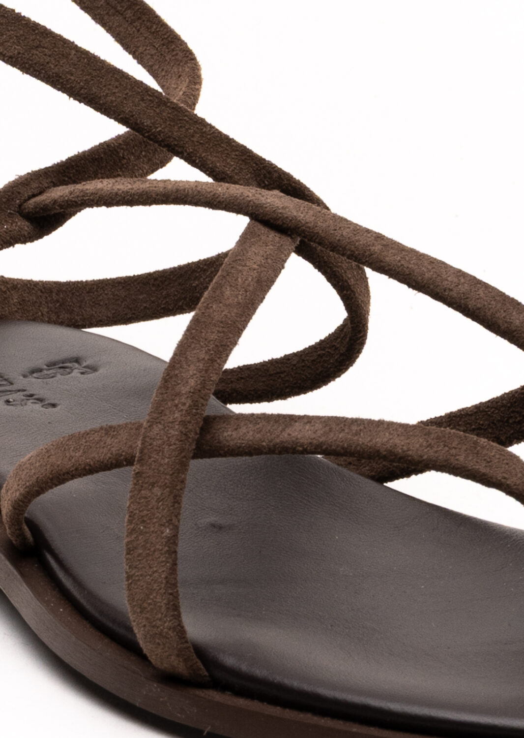 PE26-theras-550CPEPE_3_P.jpg