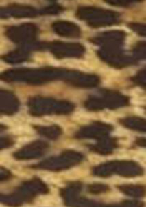 PE26-matinee-TELOFANTASIAMARRONE_1_P.jpg