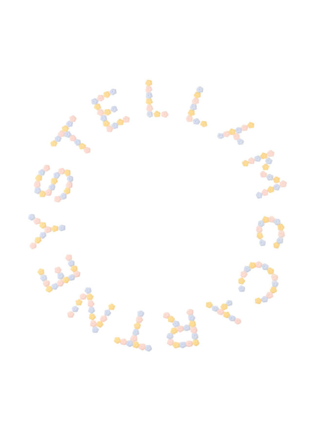 PE26-stella20mccartney-TY4C10Z3409101_1_P.jpg