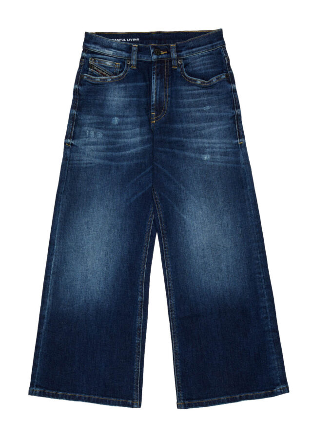 AI26-diesel-J02322KXBULDARGJXJK01.jpg