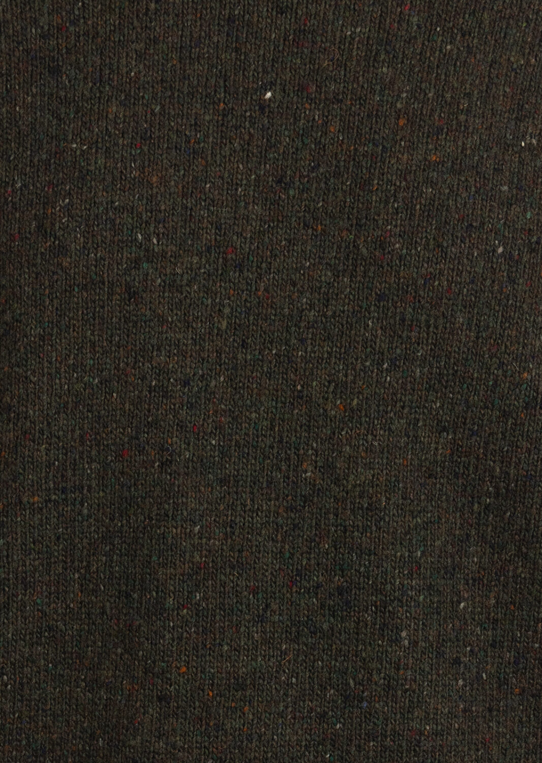 AI26-kangra-420001872_2_P.jpg