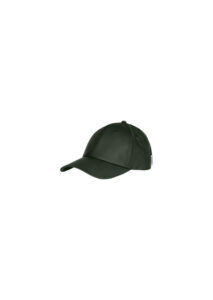 AI26-rains-CAP2013600GRE_2_P.jpg