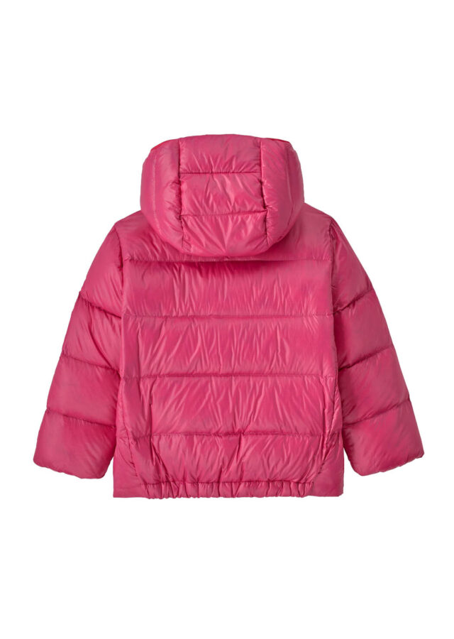 AI26-patagonia-60494PNYP_1_P.jpg