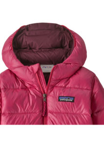 AI26-patagonia-60494PNYP_2_P-1.jpg