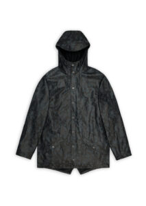 AI26-rains-12010184.jpg