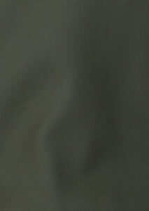 AI26-rains-16720003_1_P.jpg