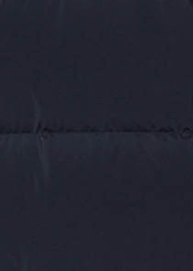 AI26-rrd-W2652660_1_P.jpg