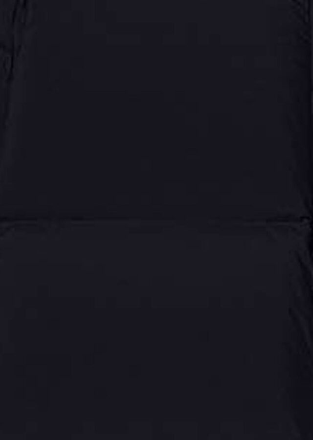 AI26-rrd-W2654560_1_P.jpg