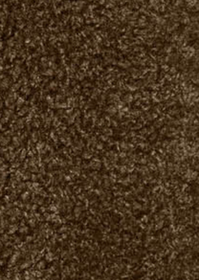 AI26-rrd-W2657184_1_P.jpg