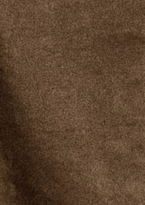 AI26-rrd-W2657384_1_P.jpg