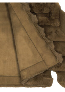 AI26-rrd-W2657484_4_P.jpg