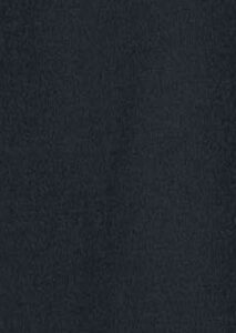 AI26-rrd-W2663411_1_P.jpg